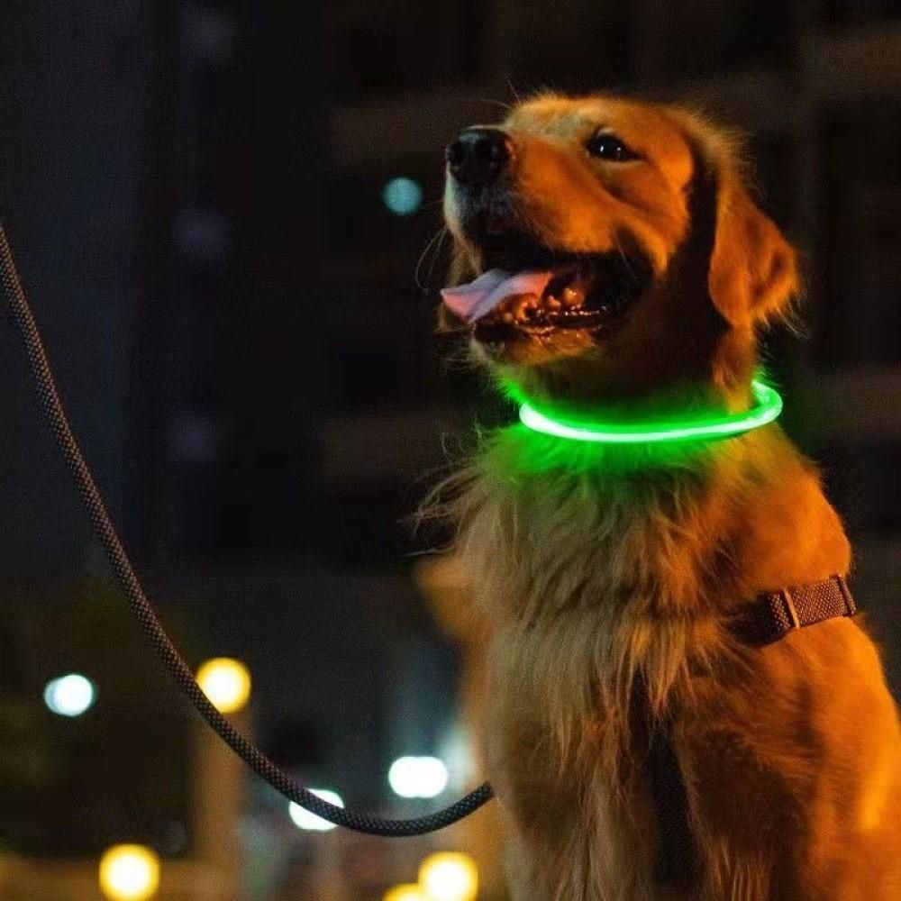 Unizoo Świecąca Obroża Led Dla Psa L W Kolorze Czerwonym - zdjęcie 2 Unizoo Świecąca Obroża Led Dla Psa L W Kolorze Czerwonym