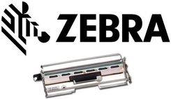 Zdjęcie TSC GŁOWICA DO DRUKARKI ZEBRA ZM600 (98047002200LF) - Małogoszcz