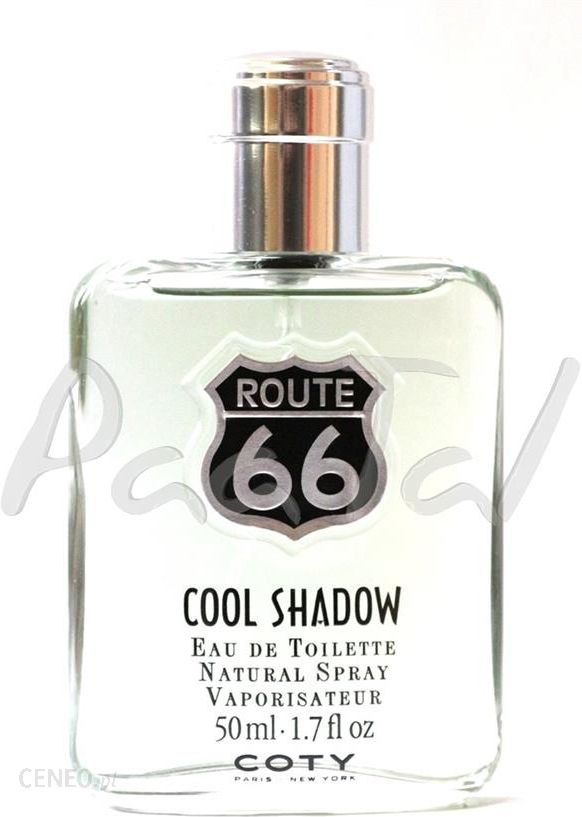 Coty Route 66 Cool Shadow woda toaletowa 50 ml - Opinie i ceny na Ceneo.pl