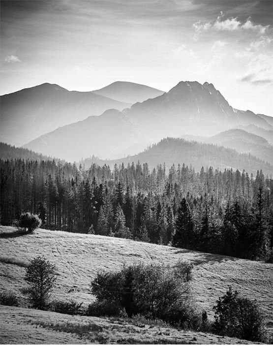 Fototapeta 200x254 Flizelina Góry #F144 - Opinie i ceny na Ceneo.pl