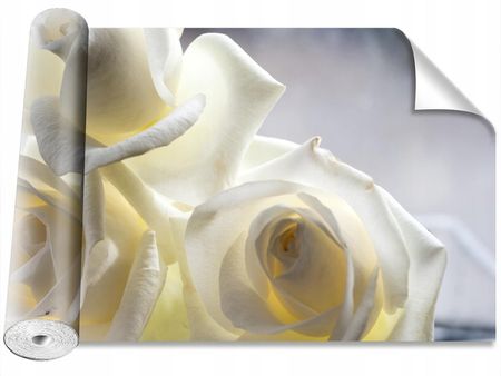 Coloray Fototapeta Samoprzylepna Białe Róże 104x70