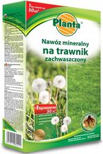 Zdjęcie Nawóz Planta 1Kg Na Trawnik Zachwaszczony 5 Now - Gryfice