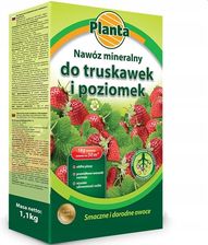 Zdjęcie Nawóz Planta 1Kg Do Truskawek I Poziomek 5 - Janowiec Wielkopolski