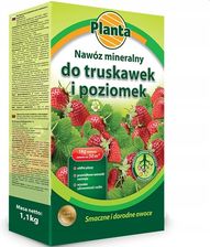 Zdjęcie Planta 1kg - Żnin