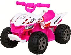 Ramiz Pojazd Quad The Fastest