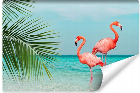 Muralo Fototapeta Flamingi Plaża 3D 300x210