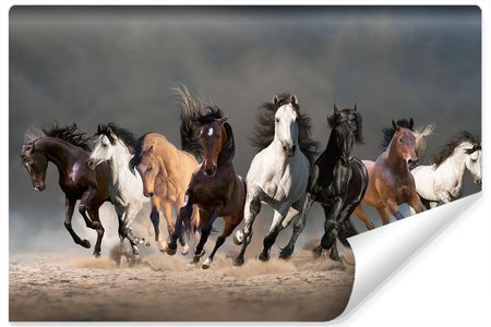 Muralo Fototapeta Dzikie Konie Zwierzęta Galop 3D 300x210