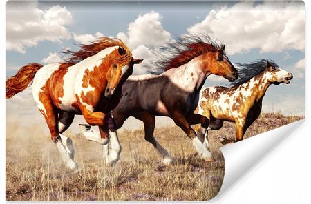 Muralo Fototapeta Dziki Zachód Konie W Galopie 3D 180x120