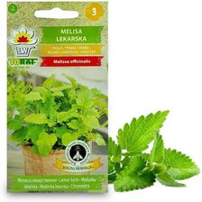Zdjęcie Toraf Nasiona Melisa Lekarska 0,5 G - Józefów