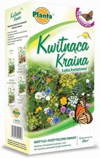 Łąka Kwiatowa Kwietna Wabi Motyle Mix 32 Kwiatów
