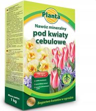 Zdjęcie Nawóz do Kwiatów Cebulowych Tulipanówlilii 1kg - Nowe