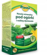 Zdjęcie Nawóz Pod Ogórki Dynie Cukinie Melony Kabaczki 1Kg - Bydgoszcz