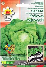 Zdjęcie Sałata Królowa Majowych Nasiona Taśma 7M Toraf - Wołów