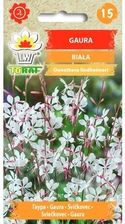 Zdjęcie Gaura Biała Nasiona Kwiatów 0,5G Toraf - Piotrków Trybunalski