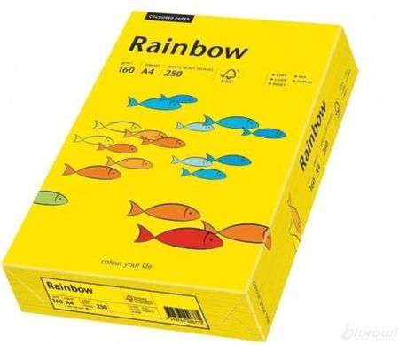 Rainbow Papier Xero Kolorowy A4 160G. Ciemnożółty 88042395