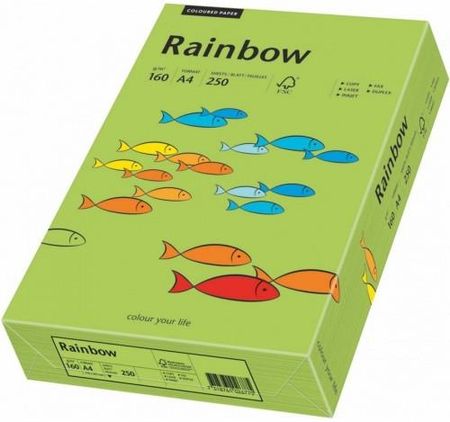 Rainbow Papier Xero A4 160G R76 Zielony 88042659