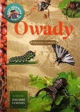 Zdjęcie Owady - Robert J. Dzwonkowski - Solec Kujawski