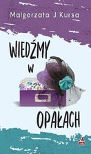 Wiedźmy w opałach (MOBI)