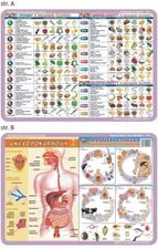 Zdjęcie Visual System Podkładka Edu. 056 Witaminy Pasożyty... - Skierniewice