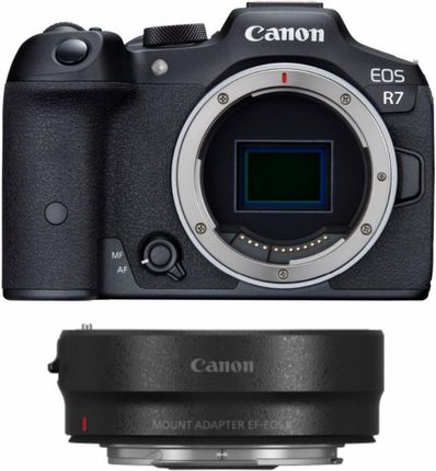 Canon EOS R7 + adapter EF-EOS R
