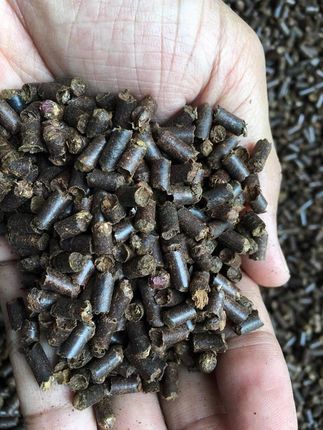 Tantora Cattapa King Stick 100g suplement z liści - zdjęcie 4