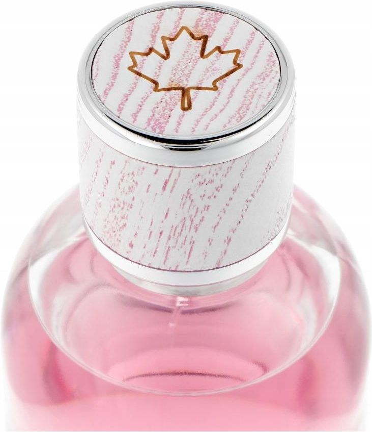 DSQUARED2 WOOD オードトワレ 100ml Dsquared2 2 wood woda toaletowa dla mężczyzn | notino.pl
