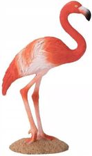 Animal Planet Figurka American Flamingo