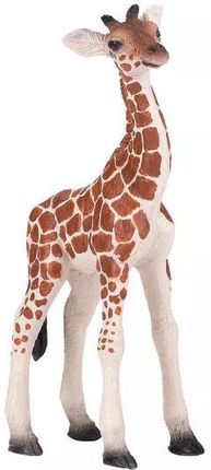 Animal Planet Figurka Giraffe Calf New 2021