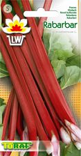 Zdjęcie RABARBAR WIELOLETNI VICTORIA 0,5G - Twardogóra