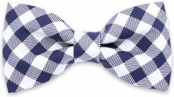 Zdjęcie Mucha męska Willsoor - Skalbmierz