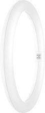 Osram SubstiTUBE® T9 EM 32 20 W / 6500 K G10q 4058075604698, N/A, 20 W = 32 W, 2200 lm, 6500 K, białe światło dzienne, 230 V, 30000 h, 1 szt.