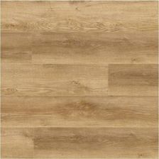 Panele podłogowe Barlinek Barlinek Next Step Lvt Chianti Dry 1V5000004