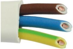 Zdjęcie Elpar Przewód Ydypżo 450/750V 3X1,5mm2 /100M - Lwówek