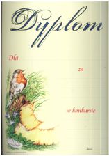 Zdjęcie Panon Dyplom Udziału W Konkursie A4 - Kowal