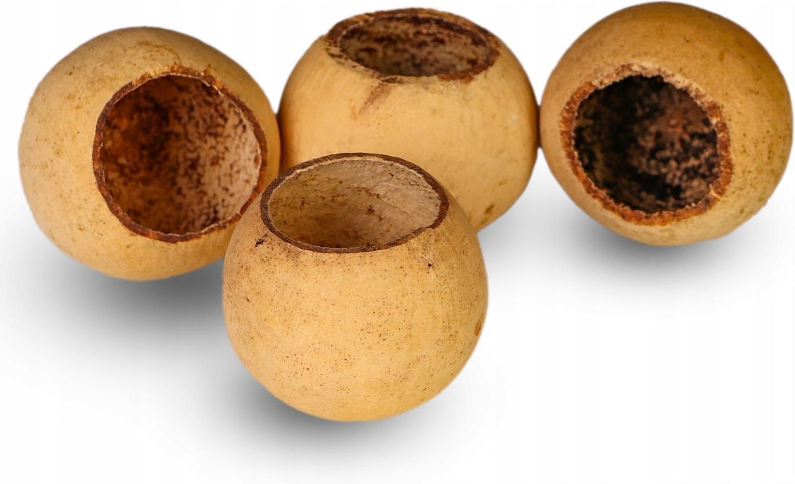 Terrario Natural Fruit M - jaskinia miska z łuski - zdjęcie 6 Terrario Natural Fruit M - jaskinia miska z łuski
