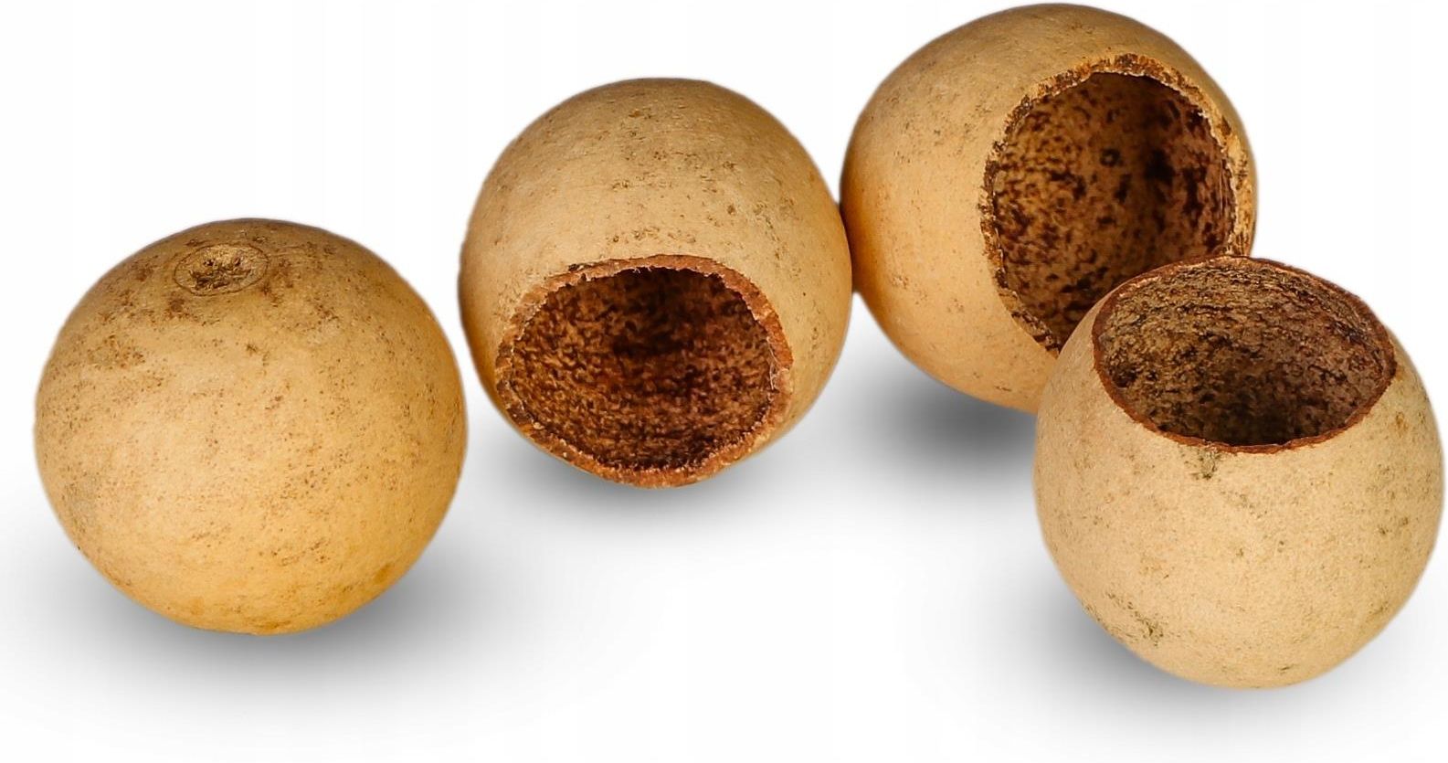 Terrario Natural Fruit M - jaskinia miska z łuski - zdjęcie 7 Terrario Natural Fruit M - jaskinia miska z łuski