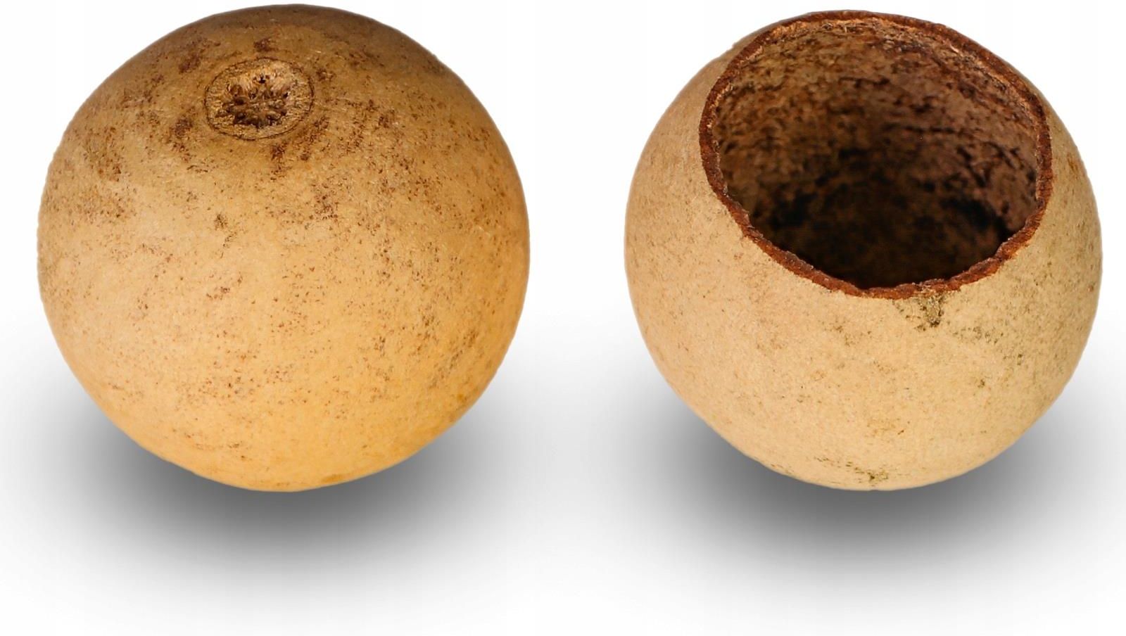 Terrario Natural Fruit M - jaskinia miska z łuski - zdjęcie 8 Terrario Natural Fruit M - jaskinia miska z łuski