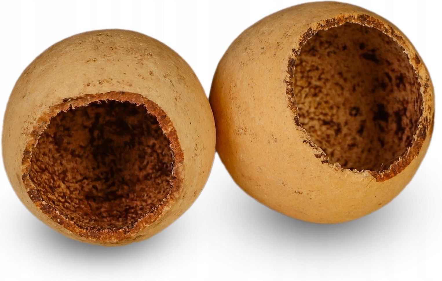 Terrario Natural Fruit M - jaskinia miska z łuski - zdjęcie 9 Terrario Natural Fruit M - jaskinia miska z łuski