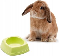 Zdjęcie Savic Rodent Bowl - miska dla gryzonia 12x12x4,5cm - Zduny