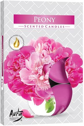 Podgrzewacze zapachowe Piwonia 6szt. kwiatowego aromatu opakowanie 4h palenia piękna dekoracja 