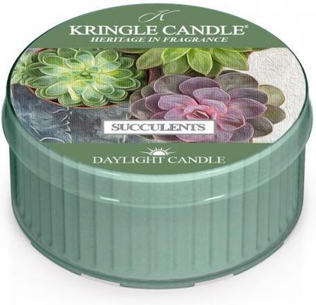 Kringle Candle Świeca 42G Succulents 91312