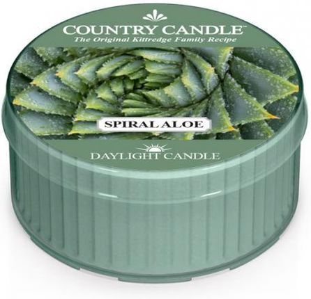 Kringle Candle Country Świeca 42G Spiral Aloe 91314