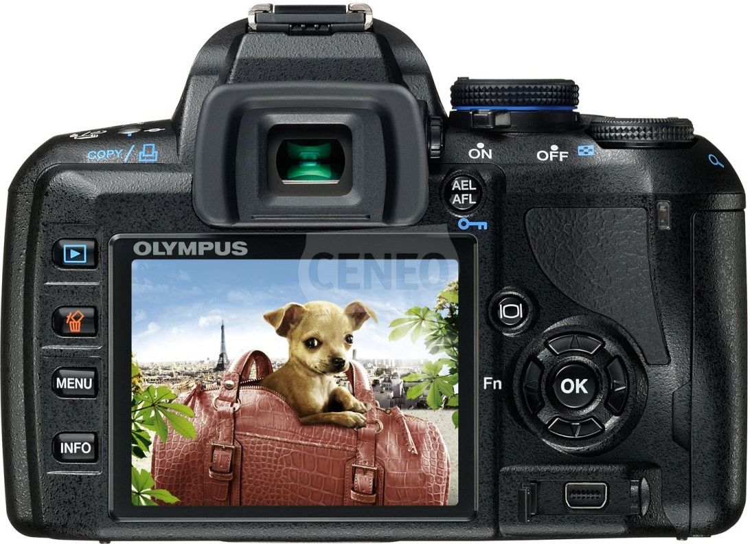 Lustrzanka Olympus E-420 + 14-42mm f/3,5-5,6 - Ceny i opinie