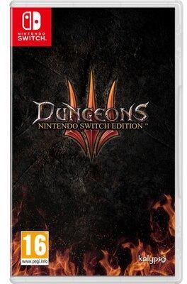 Dungeons 3 (Gra NS)