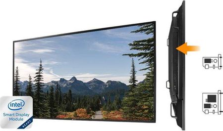 Ag Neovo PD-65Q 165.1cm 65 LED black Speditionsversand - Flat Screen 165.1 cm (PD65Q011M000)