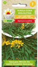 Zdjęcie Rukola Dzika Nasiona Warzyw 1G Toraf - Radymno