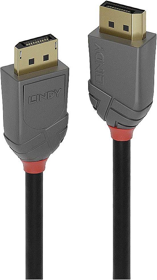 LINDY Cavo da Displayport a VGA Lunghezza 2 metri - 41942