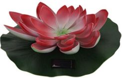 Zdjęcie Kmtp Lampa Solarna Lilia Wodna Led Z Panelem Słonecznym 28cm Czerwona (KDT2100320CZERWONY) - Babimost