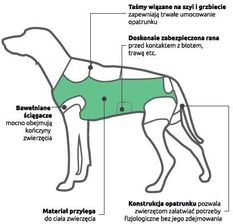 Zdjęcie Zoo Hobby Ubranko Pooperacyjne 5 (ID13405) - Łagów