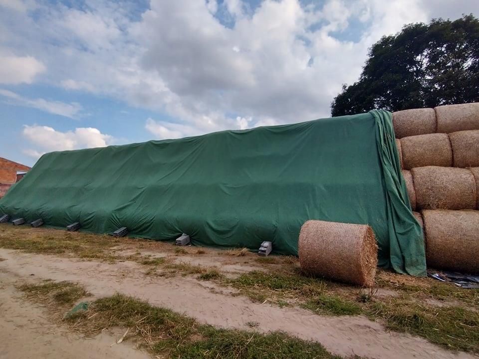 Fliz Do Okrywania S omy Siana 10 4x12 5 Orygina Ceny I Opinie fliz-do-okrywania-s-omy-siana-10-4x12-5-orygina-ceny-i-opinie